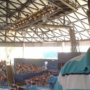 Meet your Posher, Deandre